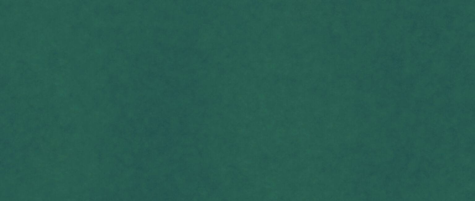 bgSlider_MostIrishPerson copy