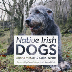 Native Irish Dogs Book Cover