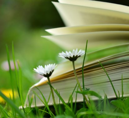 book-lying-in-the-grass