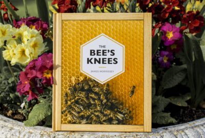For the 11th day of Christmas, we present our Green selection - The Bee's Knees