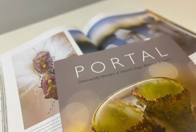 Our pick of the best images of Ireland's bogs and wetlands from Tina Claffey's new book, Portal.